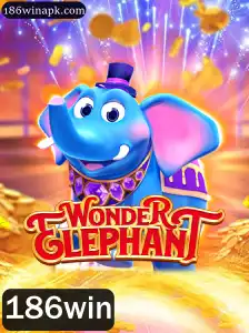Explorando o Mundo de WonderElephant: Um Guia Completo para Novos Jogadores